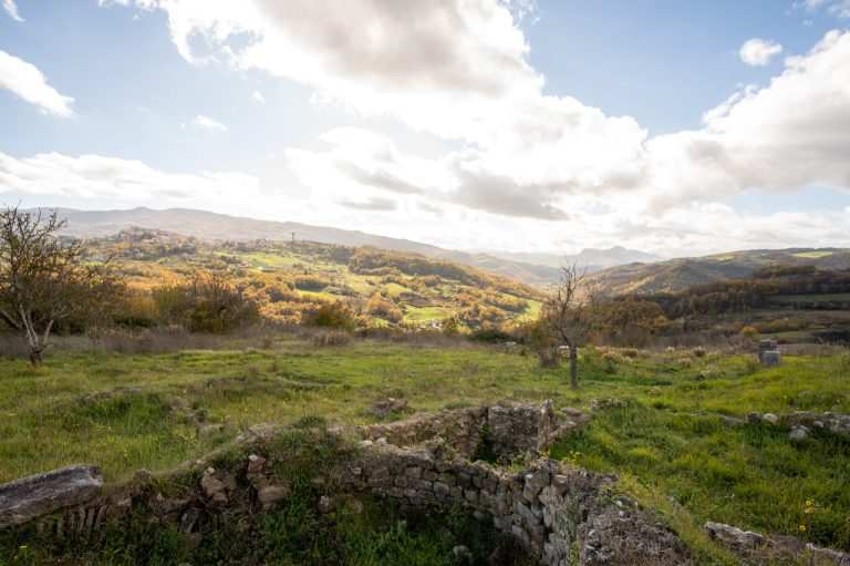 Ruoti