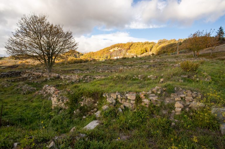 Ruoti